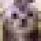 miniMore emote