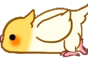 BirdScoot emote