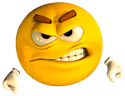 joe_fight emote