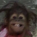 SmileMoneky emote