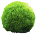 MossBall emote