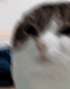 OhTheMiseryEverybodyWantsToBeMyEnemySpareTheSympathyEverybodyWan emote