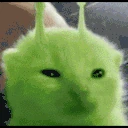 glorpBlicky emote