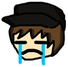 TDG_Cries emote