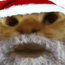 Sisi emote