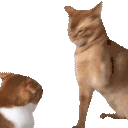 catSlap emoji