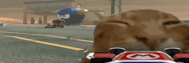 buhlueShell animated emote