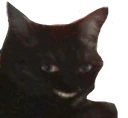 Cat_hehe emote