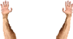 GachiHands emote