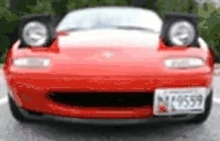 miataWink emote