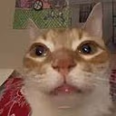 CE_Ermmm emote