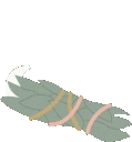 sage_cleansing_smoke emoji