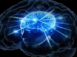 bigbrain emote