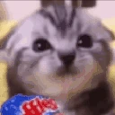 veryMore emote