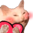 cat_heart emote