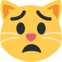 worriedcat emote