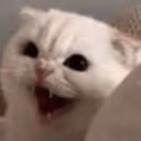 CE_Anger4 emote
