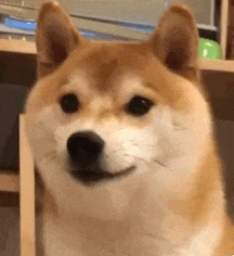 ShibaTeeth emote