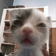 depleted emote