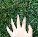 TouchingGrass emote