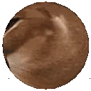 Floppa emoji