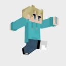 pigeonplayss emote