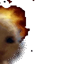 huhExplode emote