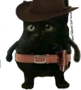 CowboyCat emote