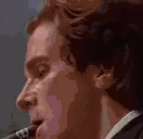 RIPBOZO emote