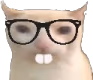 NerdCat emote