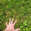 touch_grass emote