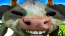 xddcow emote