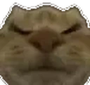 Sleepin emote