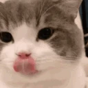 CatMlem emote