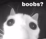 boobs emote