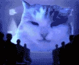1984 emote