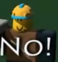 roblox_no emote