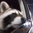 raccFeels emote