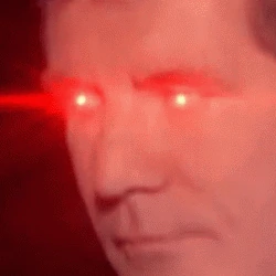in_sight emote