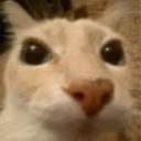 apoco emote