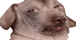 creatureSus animated emote