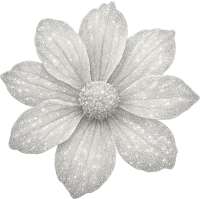 Sparklywhiteflower emote