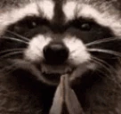 raccEvil emote