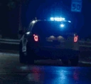 police_explorer emote