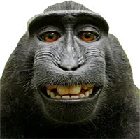 monkey_smile emote