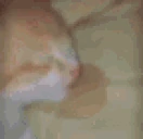 eepy emote