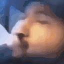 AINTNOFUCKINGWAY animated emote
