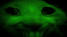 xddfdhjsd0f76ds5r26FDSFHD88hjdbsa67vr7xlLLhdsgfcxz632nkDFSGATVMV emote