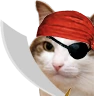 kiisu_pirate emoji