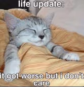 lifeupdate emote